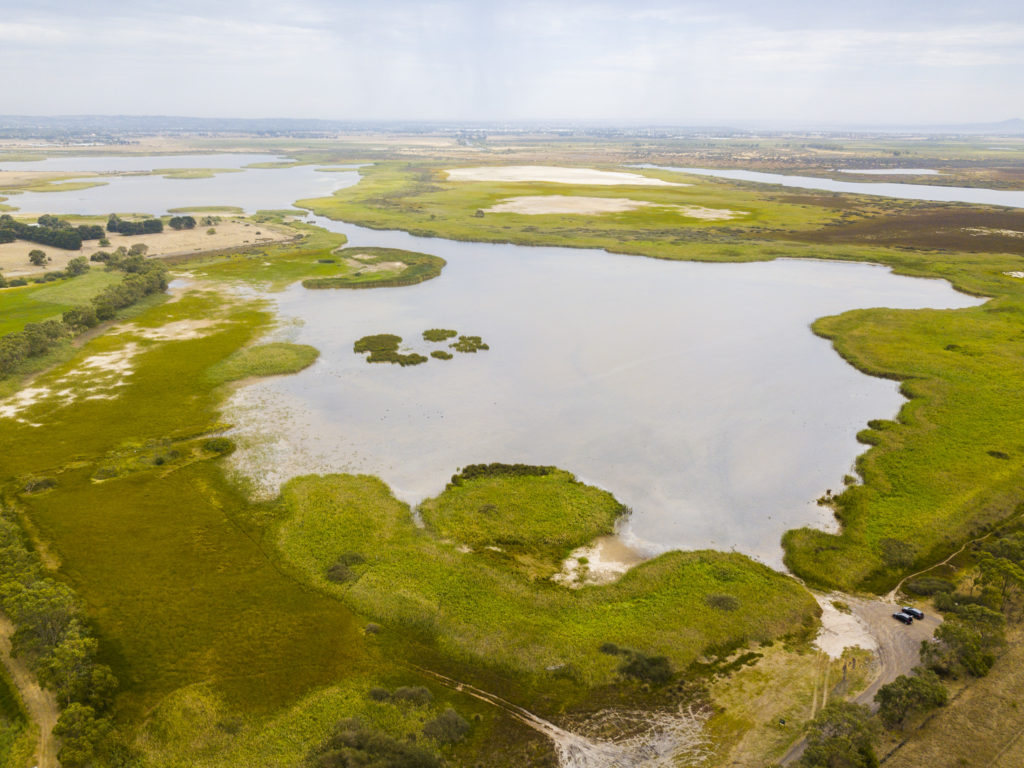 Image of Sparrovale Wetlands from bird's eye view